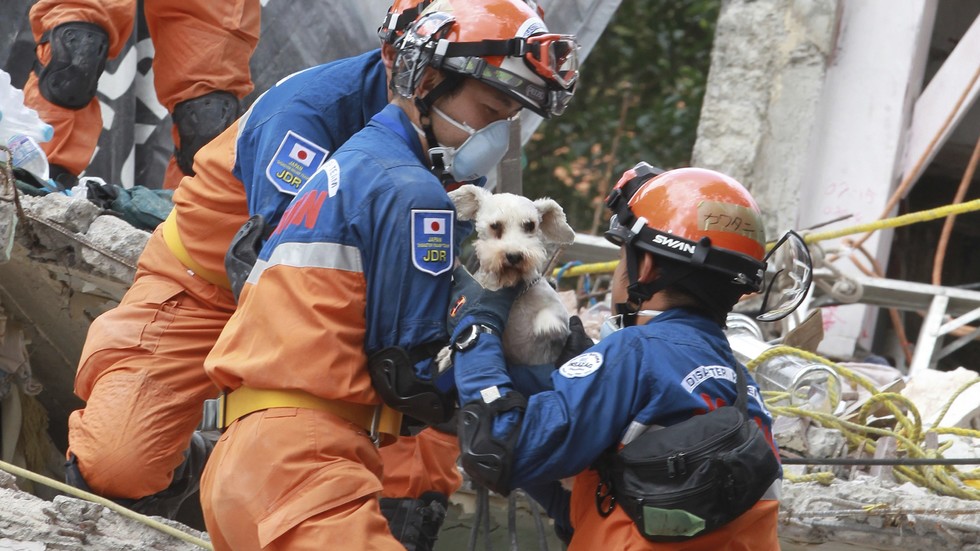  Снимки: ЕПА/БГНЕС 